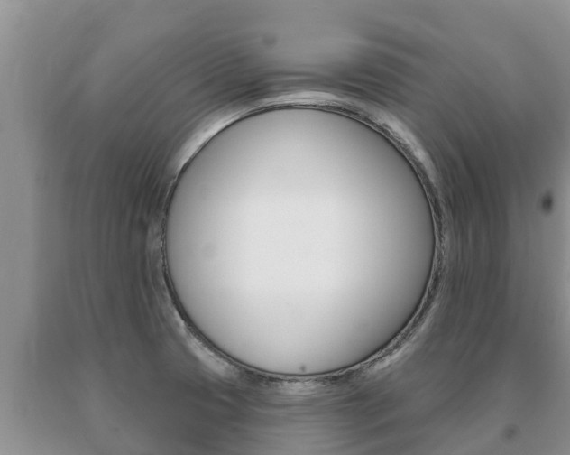 X0000091071425200708061013