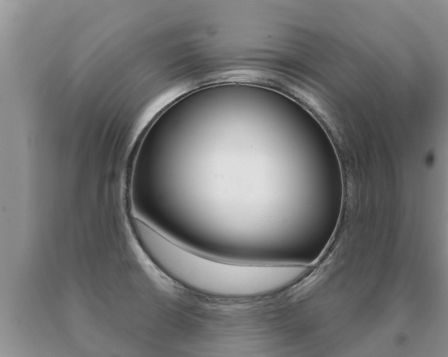 X0000091071426200708061013