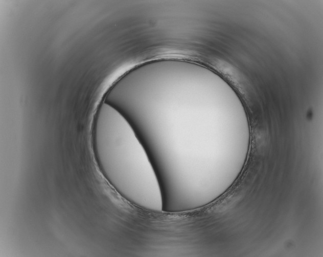 X0000091071427200708061013