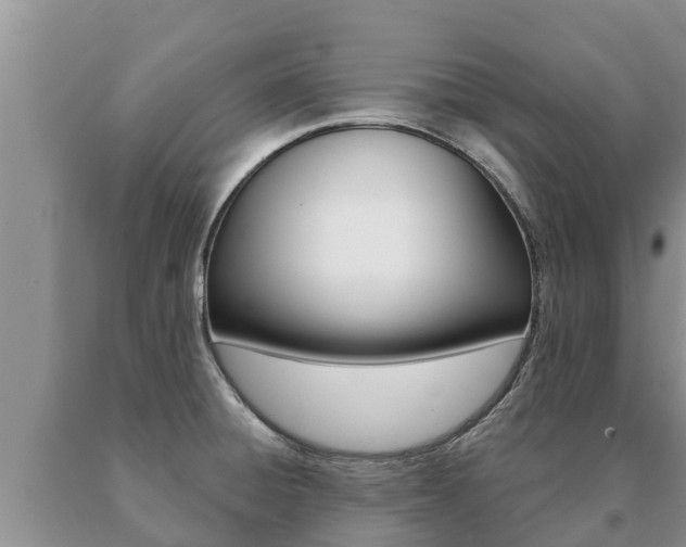 X0000091071428200708061013