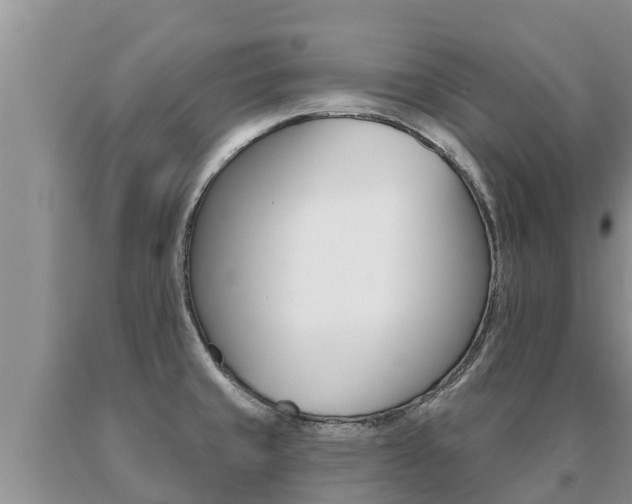 X0000091071429200708061013