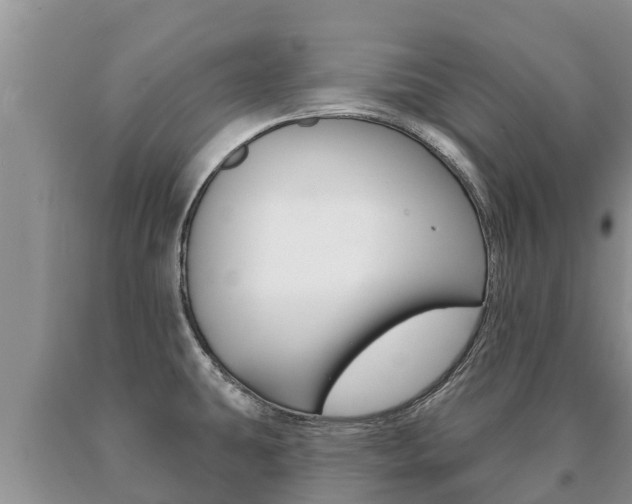 X0000091071431200708061013