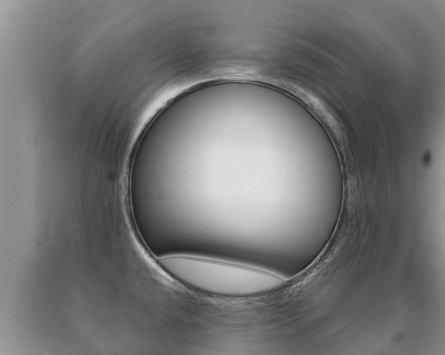 X0000091071432200708061013