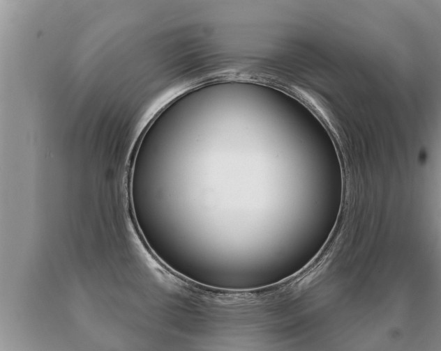 X0000091071434200708061013