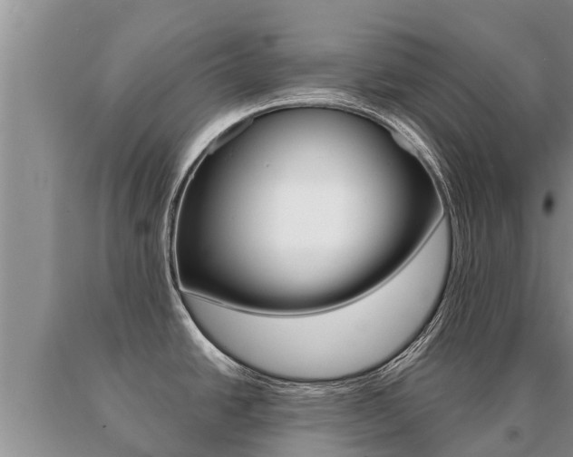 X0000091071438200708061013