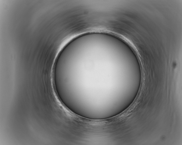 X0000091071440200708061013