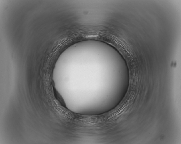 X0000091071441200708061012