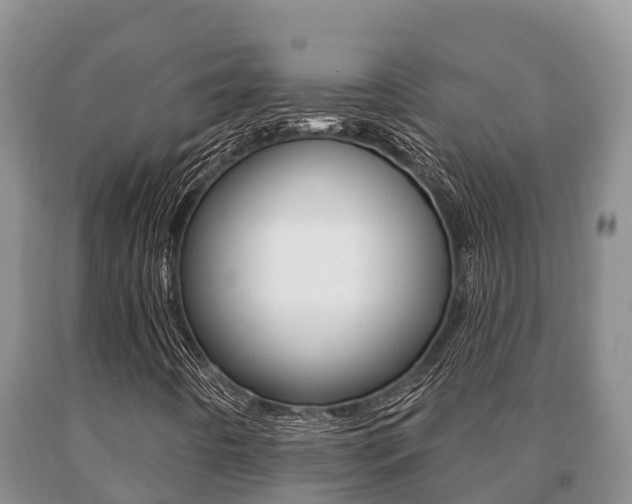 X0000091071442200708061012