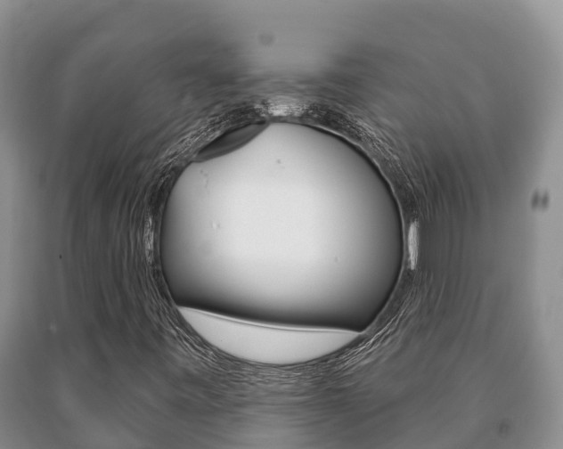X0000091071443200708061012