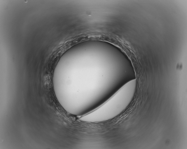 X0000091071445200708061012
