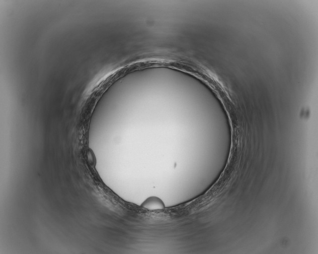 X0000091071448200708061012