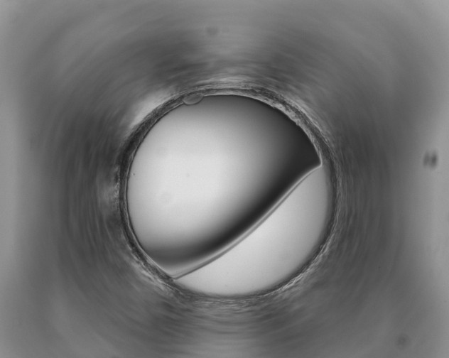 X0000091071450200708061012