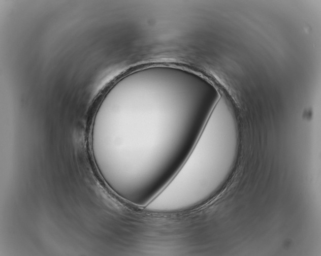 X0000091071452200708061012