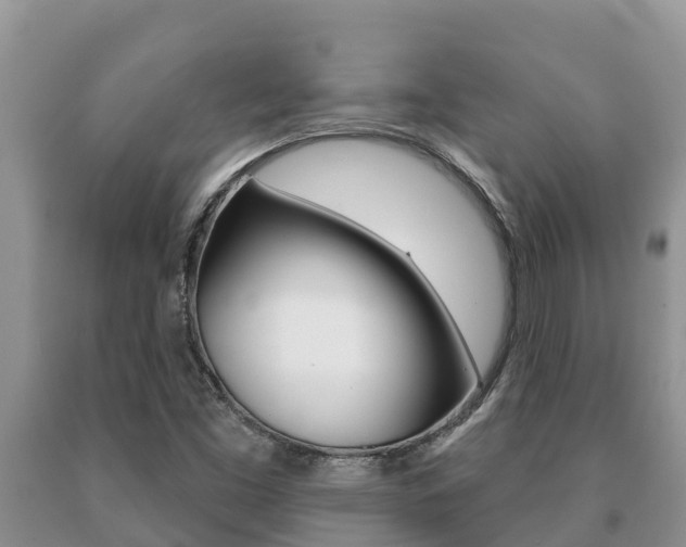 X0000091071453200708061012