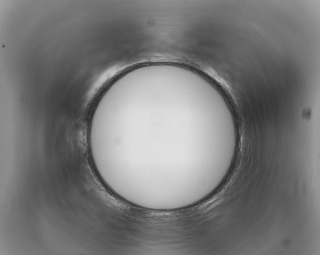 X0000091071454200708061012