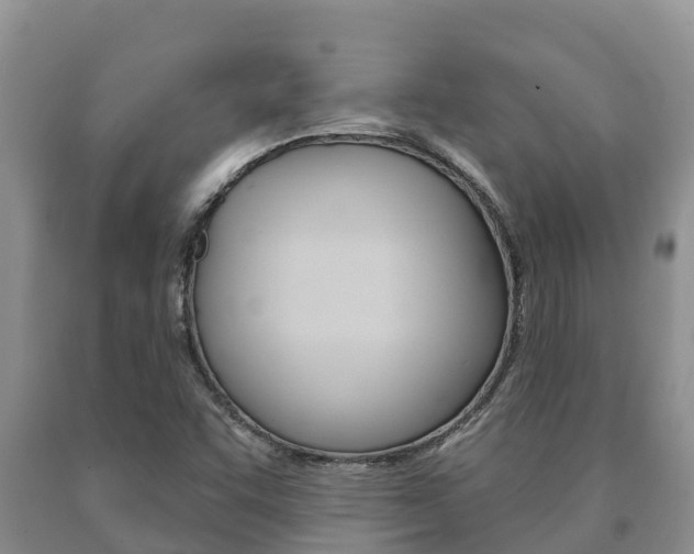X0000091071455200708061012