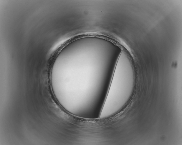 X0000091071456200708061012