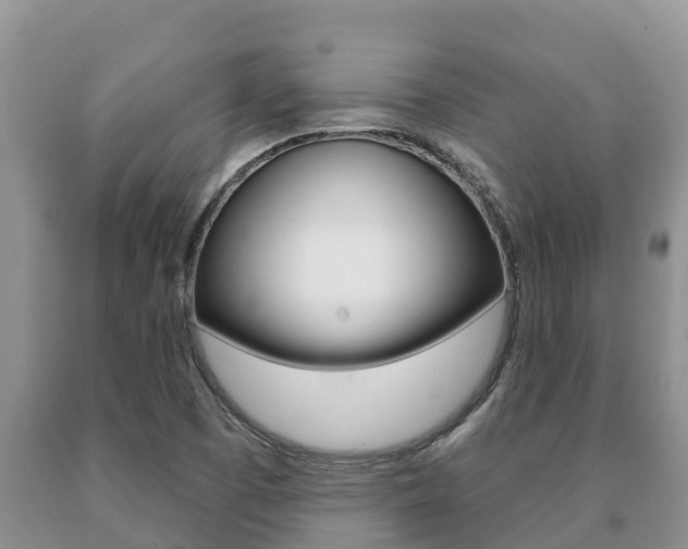 X0000091071457200708061012