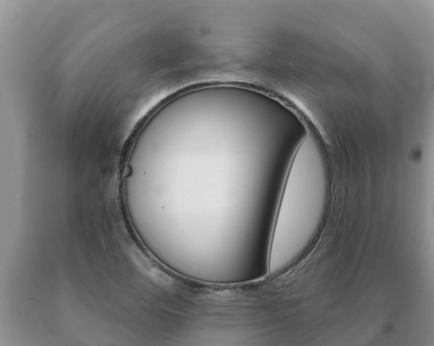 X0000091071460200708061012