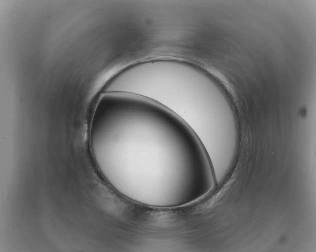 X0000091071461200708061012
