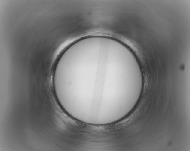 X0000091071462200708061012