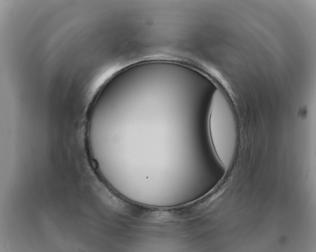 X0000091071463200708061012