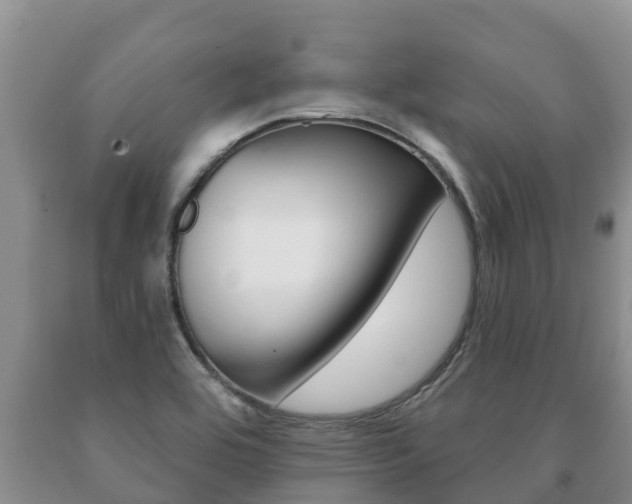 X0000091071464200708061012