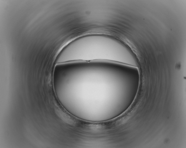 X0000091071465200708061012