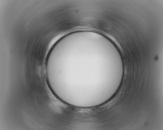 X0000091071466200708061012