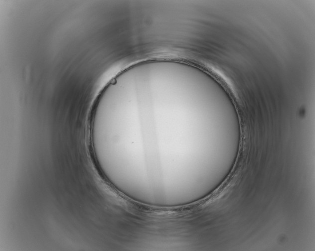 X0000091071467200708061012