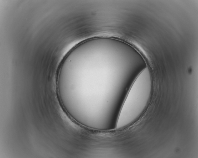 X0000091071468200708061012