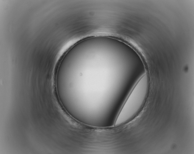 X0000091071469200708061012