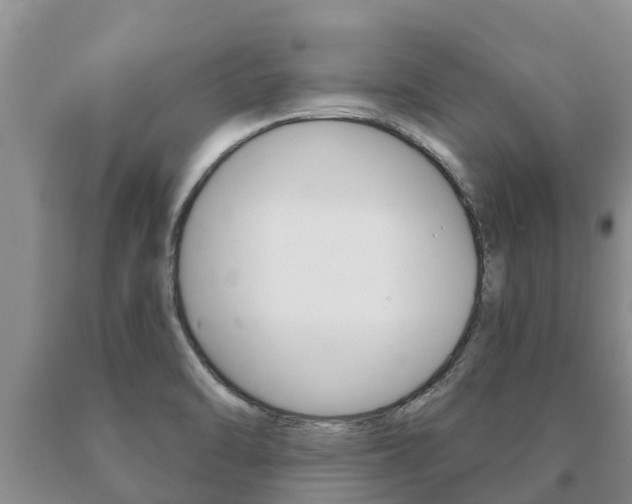 X0000091071470200708061012