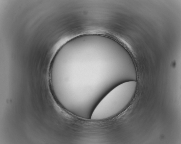 X0000091071471200708061012