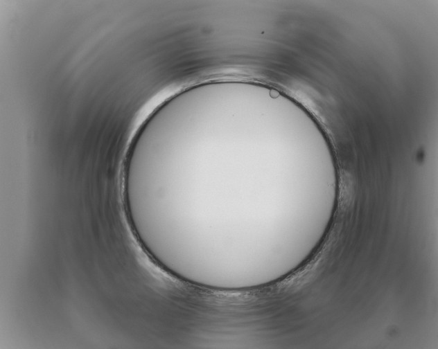 X0000091071474200708061012