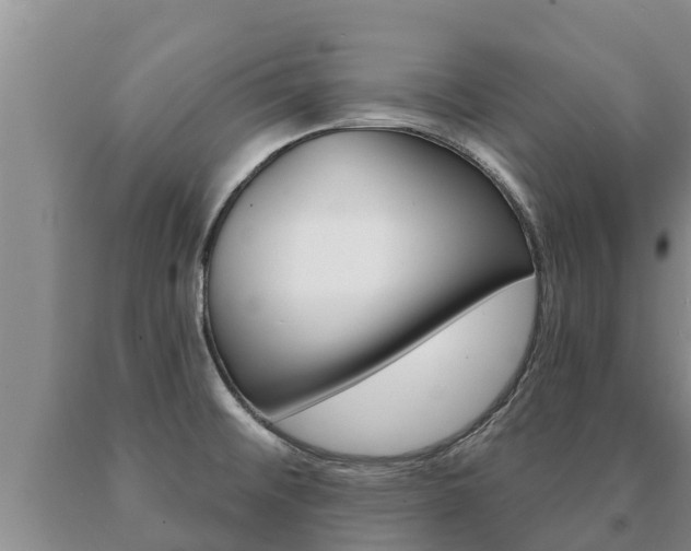 X0000091071476200708061012