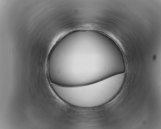 X0000091071477200708061012