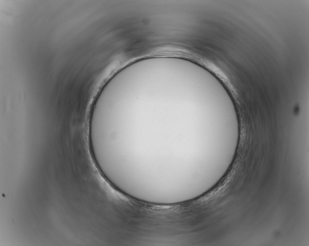 X0000091071478200708061012