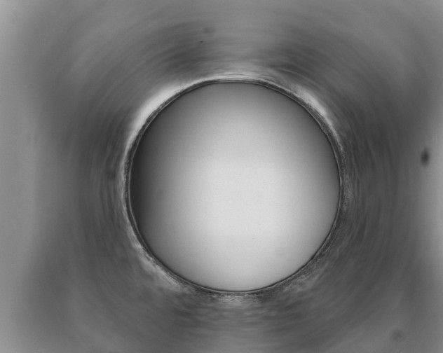 X0000091071480200708061012