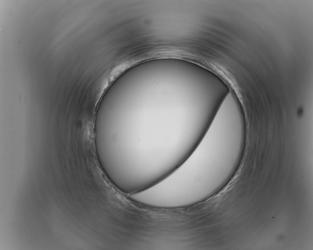 X0000091071481200708061012