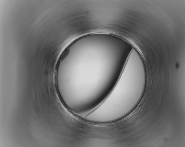 X0000091071484200708061012