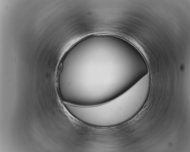 X0000091071485200708061012