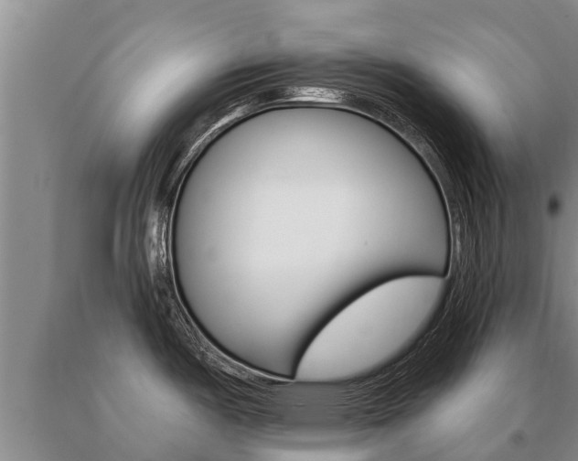 X0000091071487200708061012