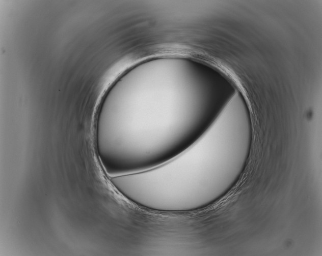 X0000091071488200708061012