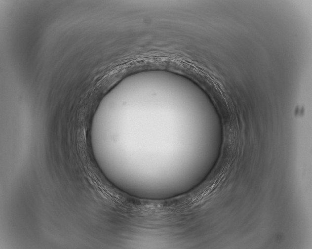 X0000091071489200708061011