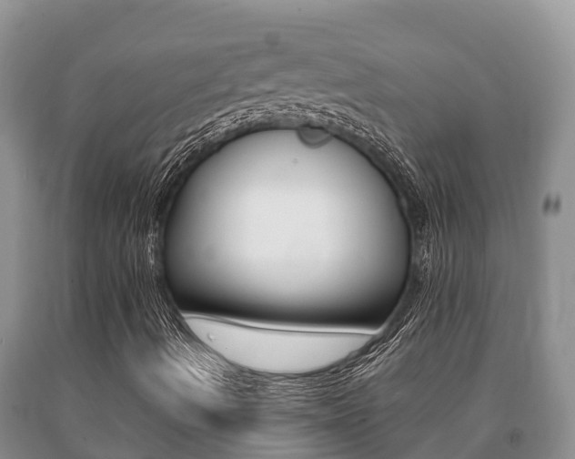 X0000091071490200708061011