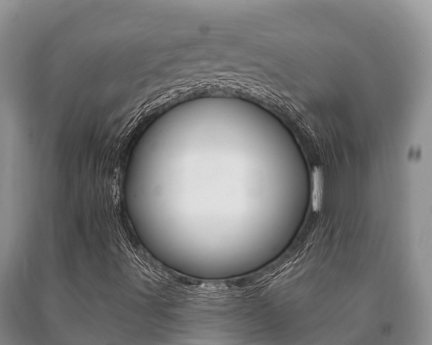 X0000091071491200708061011