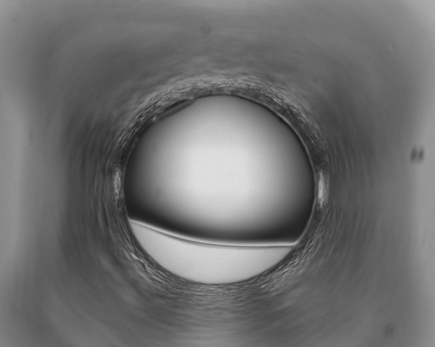 X0000091071492200708061011