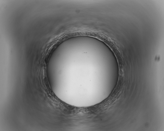 X0000091071493200708061011