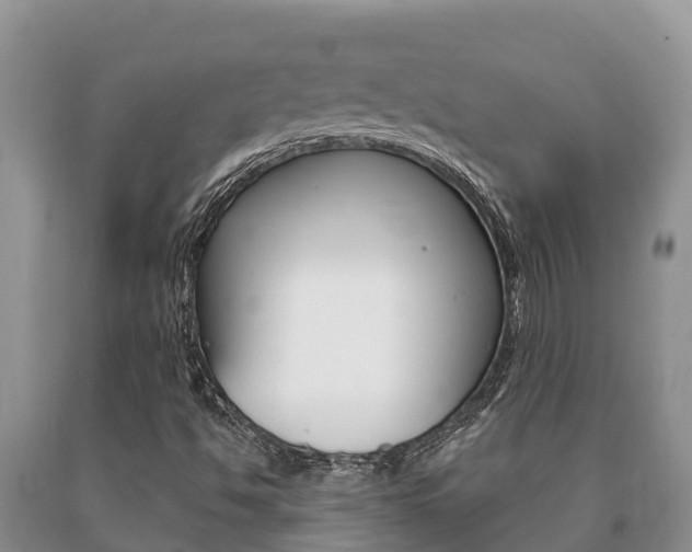 X0000091071494200708061011